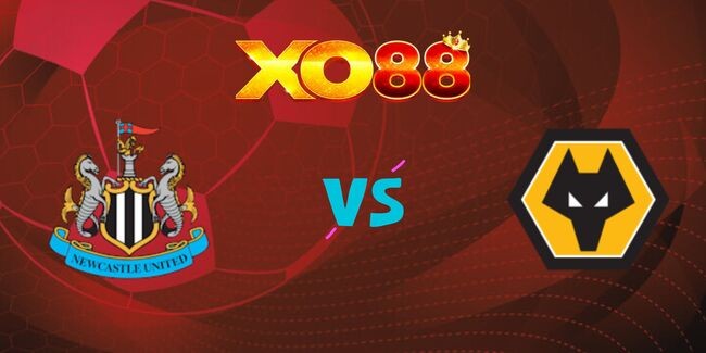 XO88 Nhận định soi kèo Newcastle vs Wolves, 2h30 16/01/2025