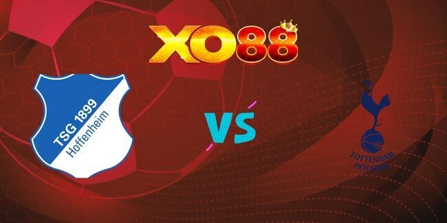 XO88 Nhận định soi kèo Hoffenheim vs Tottenham, 03h00 ngày 24/01/2025
