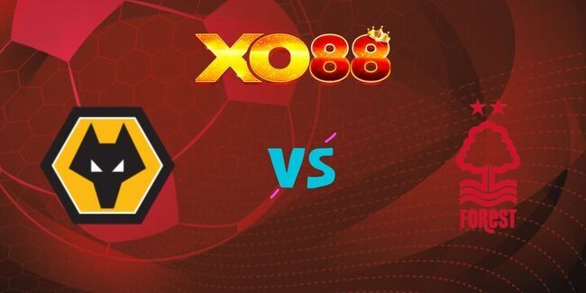 XO88 Nhận định soi kèo Wolves vs Nottingham Forest, 03h00 ngày 07/01/2025